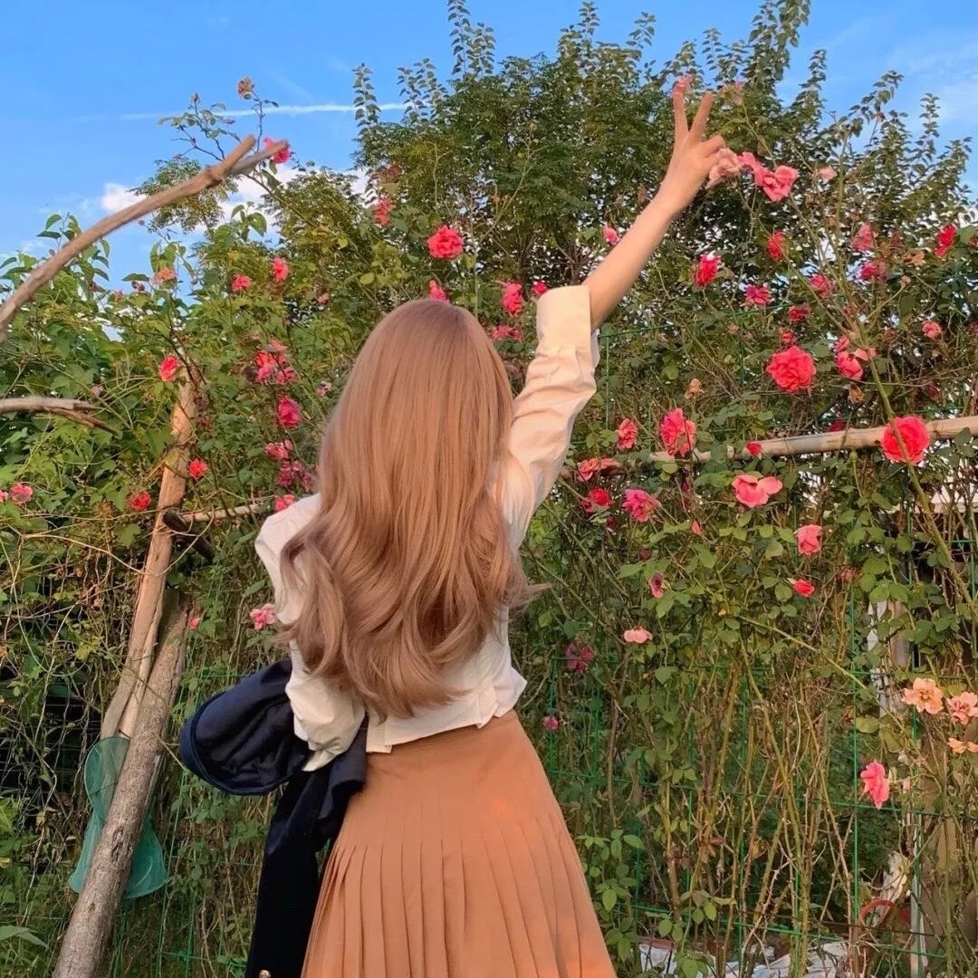 太阳花